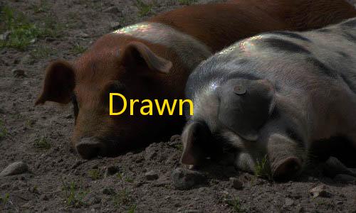 和平精英辅助购买网站Drawn